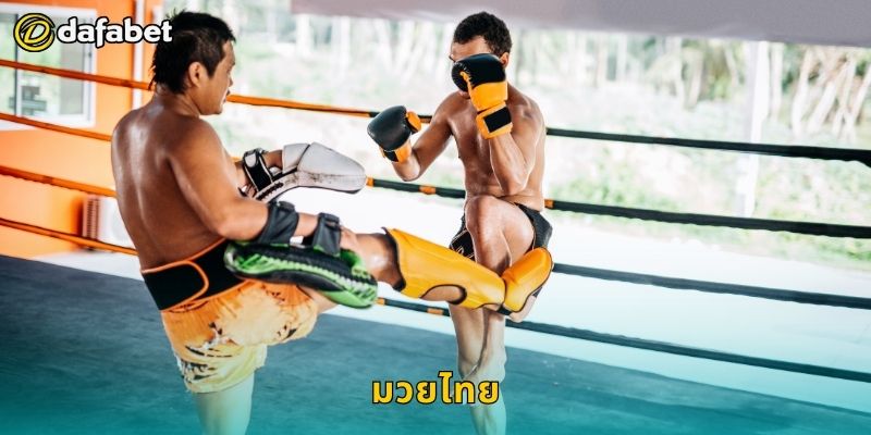 มวยไทย เดิมพันเชิงศิลปะ – ลุ้นผลสุดมันส์ที่ Dafabet 1 มวยไทย เดิมพันเชิงศิลปะ – ลุ้นผลสุดมันส์ที่ Dafabet